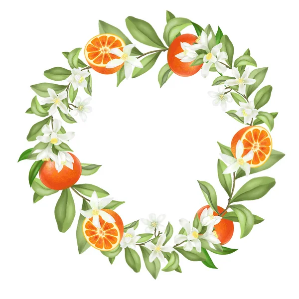 Wreath Hand Drawn Blooming Mandarin Tree Branches Mandarin Flowers Mandarins — Stock Photo, Image