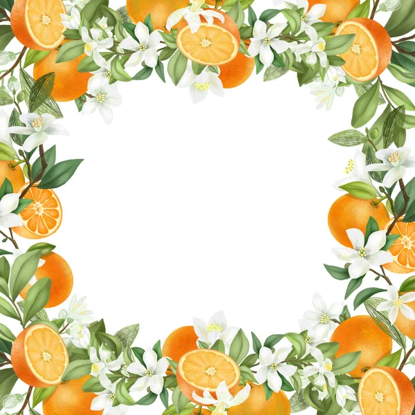 Šablona Karty Rám Ručně Kreslené Pomeranče Větve Stromů Květiny Pomeranče — Stock fotografie