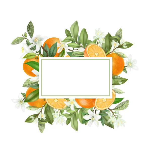 Frame Hand Drawn Blooming Orange Tree Branches Flowers Oranges White — Stock Photo, Image