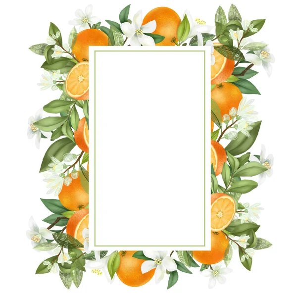 Vertical Frame Hand Drawn Blooming Orange Tree Branches Flowers Oranges — Stock Photo, Image