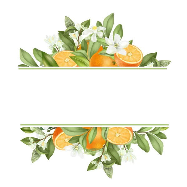 Keret Kézzel Rajzolt Virágzó Narancs Ágak Virágok Narancs Fehér Alapon — Stock Fotó
