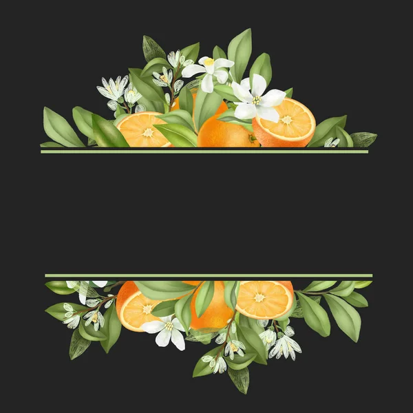 白地にオレンジの木の枝 オレンジを描いた手描きのフレーム — ストック写真