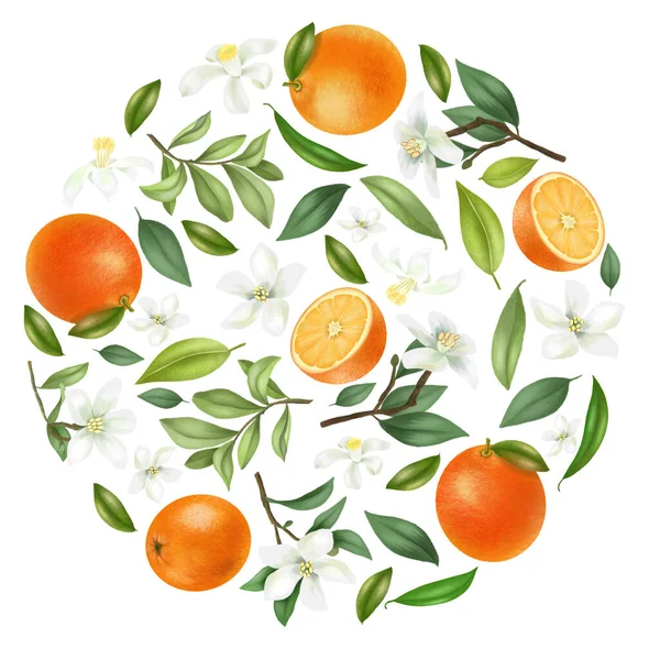 Composición Redonda Flores Anaranjadas Dibujadas Mano Naranjas Hojas Ramas Naranjo — Foto de Stock