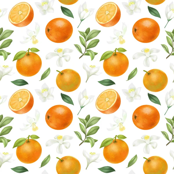 Seamless Pattern Hand Drawn Oranges Orange Flowers White Background — Stock Photo, Image