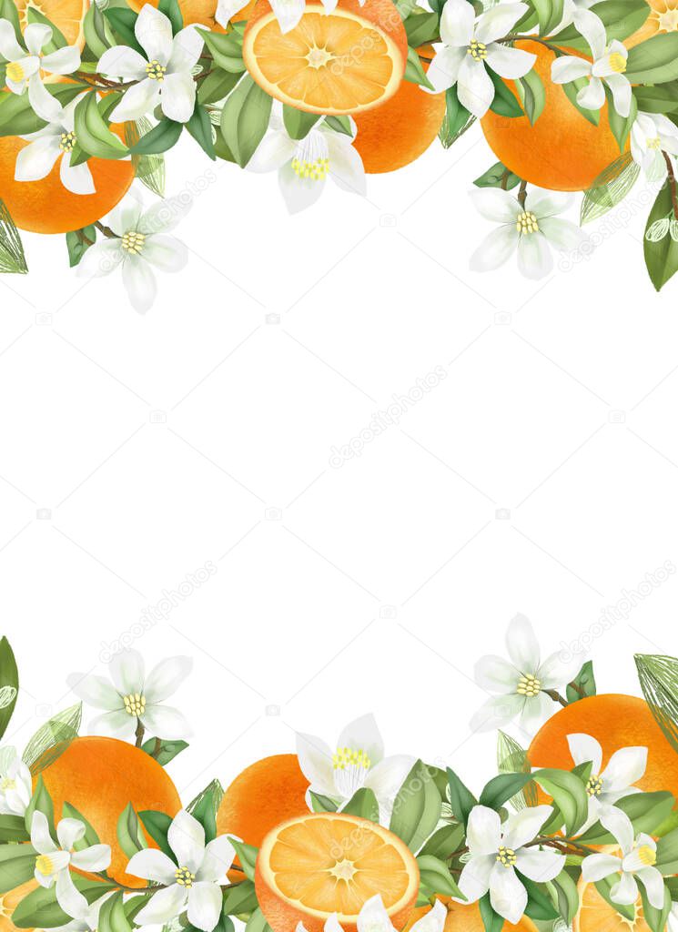 Card template, frame of hand drawn blooming oranges tree branches, flowers and oranges on white background