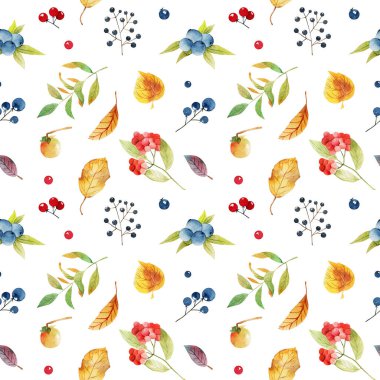 Suluboya sonbahar ağacı yaprakları ve orman meyvelerinin kusursuz deseni; beyaz arka planda elle boyanmış resimler