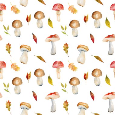 Suluboya meşe yapraklarının kusursuz deseni, sonbahar ağacı yaprakları ve mantarları; beyaz arkaplanda elle boyanmış resimler