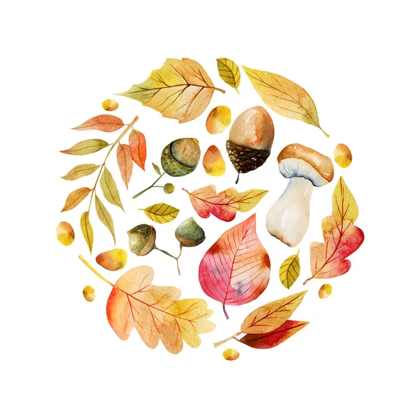 秋の要素の水彩花のラウンド組成 木の葉 アコーン マッシュルームや他の植物 白い背景に隔離されたイラスト — ストック写真