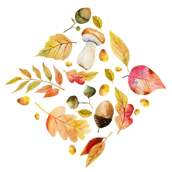 Sonbahar Elementlerinin Suluboya Eşkenar Dörtgen Bileşimi Ağaç Yaprakları Meşe Palamutları — Stok fotoğraf