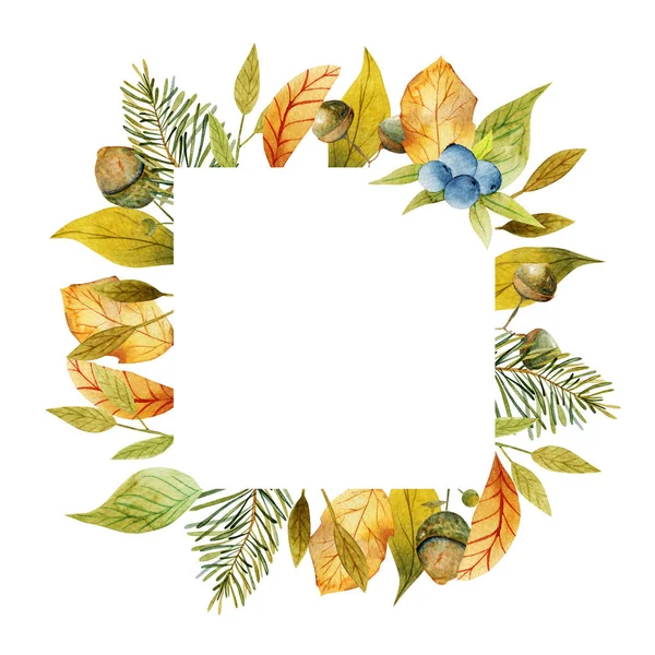 Kwadratowa Ramka Akwarelowymi Żołędziami Jesiennymi Liśćmi Gałązkami Sosny Ręcznie Malowana — Zdjęcie stockowe