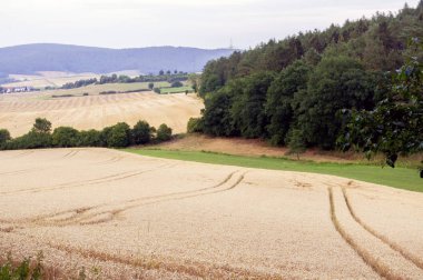 güzel kırsal manzara.