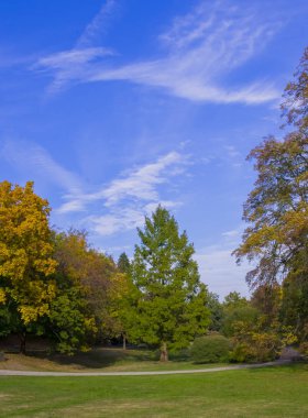 Bir park. Doğa. Manzara.