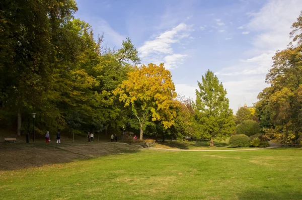 Um parque. Natureza. Paisagem . — Fotografia de Stock