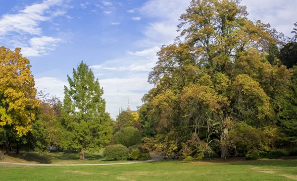 Um parque. Natureza. Paisagem . — Fotografia de Stock