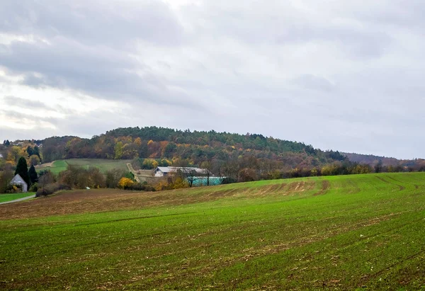 Paisagem bonita no campo . — Fotografia de Stock