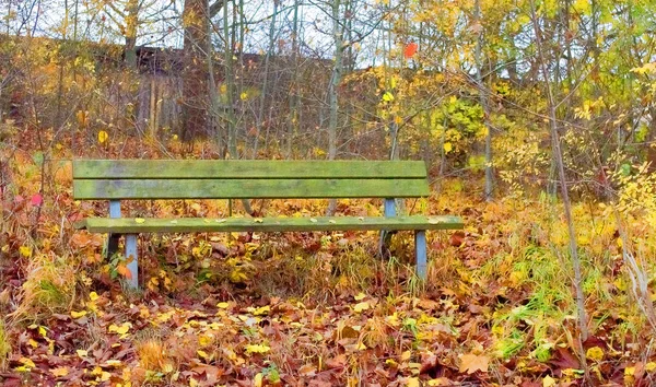 Abandoned bench for relaxing in the forest — Stock Photo, Image