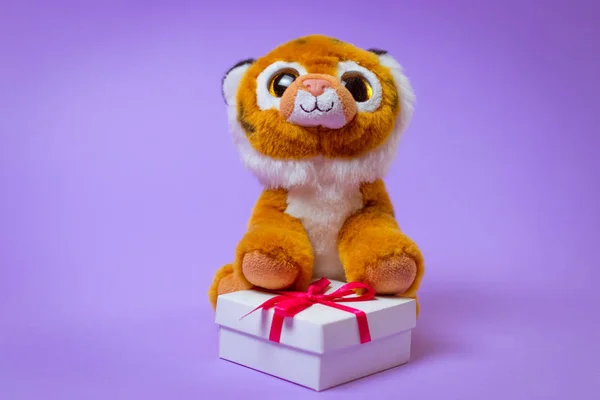 Toy Tiger sits on a white gift box with a Red Ribbon on a purple background.