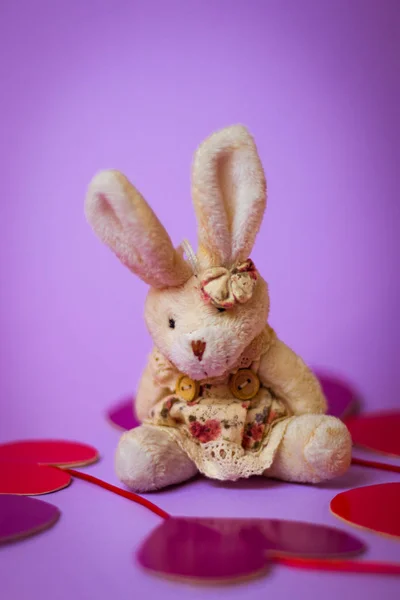 Toy Rabbit sits on a white gift box with a Red Ribbon on paper hearts on a purple background.