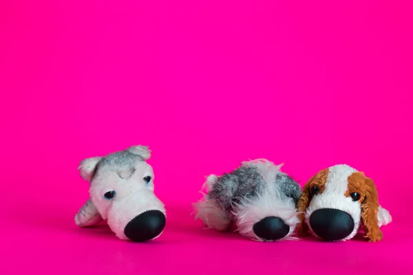 장난감 강아지 앉아서 분홍색 배경에 장난감 — 스톡 사진