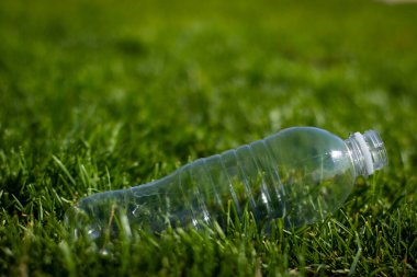 Plastik şişeler ormandaki çimlerin üzerinde yatar, çevresel kirlilik, çevre sorunları, plastik, gezegen kirliliği, çöp, atık ile eko sisteminin tahrip edilmesi