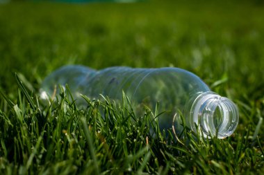 Plastik şişeler ormandaki çimlerin üzerinde yatar, çevresel kirlilik, çevre sorunları, plastik, gezegen kirliliği, çöp, atık ile eko sisteminin tahrip edilmesi