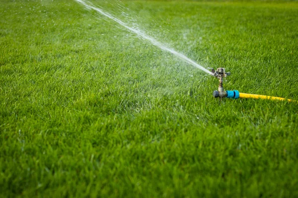 Garden Grass Watering Smart Garden Activated Full Automatic Sprinkler Irrigation — Stock Photo, Image
