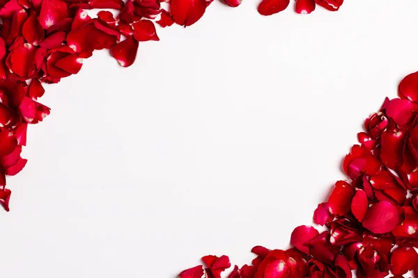 Vermelho Pétalas Rosa Moldura Fundo Branco — Fotografia de Stock