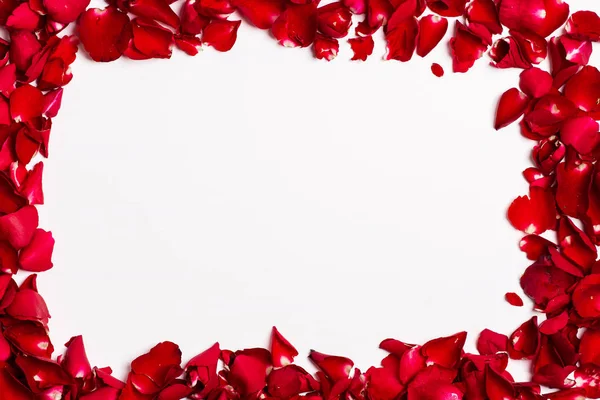 Рамка Лепестков Красной Розы Белом Фоне Лицензионные Стоковые Изображения