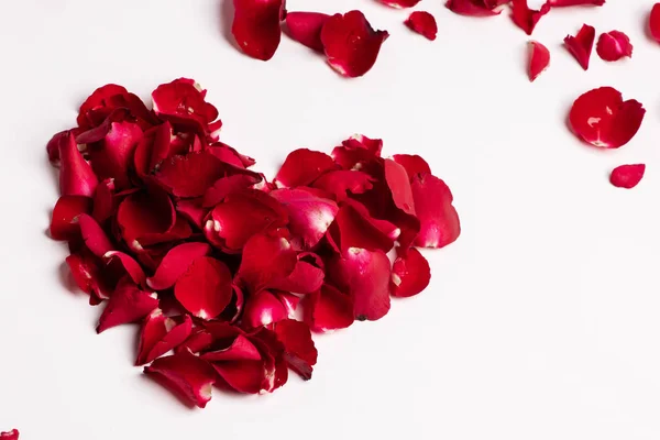 红色玫瑰花瓣心脏形状在白色背景 免版税图库照片