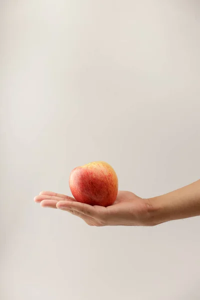 红色的有机嫉妒苹果准备在白色背景下食用 — 图库照片