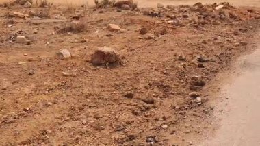 Halep, Suriye 'de bombalanan bina yıllar süren yıkıcı savaştan sonra harabe halinde duran bir arabanın üzerine yıkıldı. Yıkılmış yapı ve dağınık enkaz ağır çatışma ve hava saldırıları sonrasını yansıtıyor.