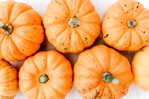 Zucche Arancioni Halloween Isolato Sfondo Bianco Posa Piatta Vista Dall — Foto Stock