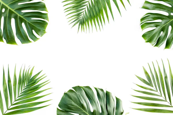 Rahmen mit exotischen tropischen Palmenblättern monstera auf weißem Hintergrund. Flache Lage, Draufsicht. — Stockfoto