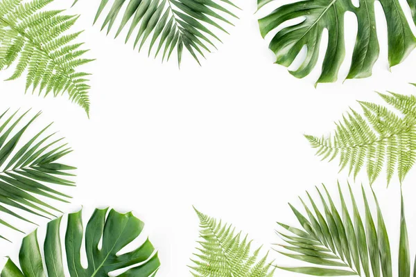 Cadre avec des feuilles exotiques de palmier tropical monstera sur fond blanc. Couché plat, vue du dessus. — Photo