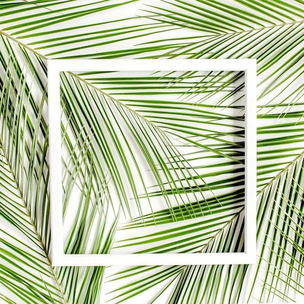 White frame and tropical palm leaves Phoenix, leaf on white background. flat lay, top view
