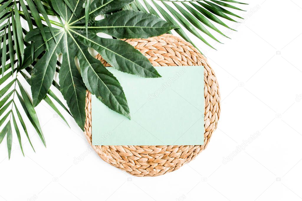 Tropical palm leaves Aralia, paper blank isolated on white background. Tropical nature concept.