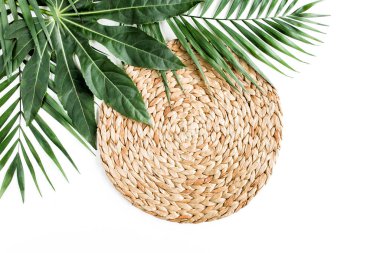 Tropical palm leaves Aralia isolated on white background. Tropical nature concept. clipart