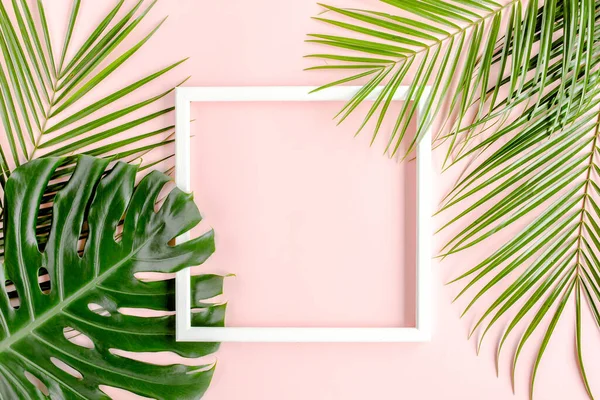 Texture tropical palm leaf Monstera and white frame for text on pink background. Flat lay, top view