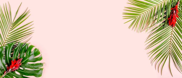 Tropical palm leaves Monstera on pink background. Flat lay, top view minimal concept.