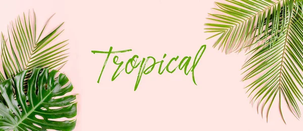 Exotic background, pattern with tropical palm leaves Monstera on pink background. Flat lay, top view minimal concept. — Stock Photo, Image