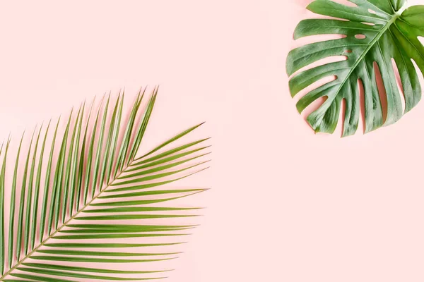 La palma tropical deja a Monstera sobre fondo rosa. Plano laico, vista superior concepto mínimo. —  Fotos de Stock