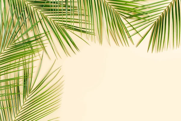 Tropisch blad op gele achtergrond. Vlakke lay, bovenaanzicht — Stockfoto
