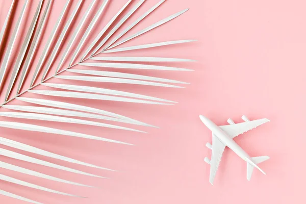 Белый самолет модели, самолет и пальмовый лист на розовом фоне. Вид сверху, плоский. Баннер. — стоковое фото