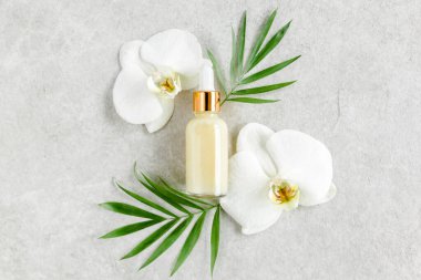 Temel yağ, sebze özü, serum, hyaluronik asit, yüz kremi, gri mermer arka planda tropik palmiye yaprakları. Spa cildi konsepti. Doğal.