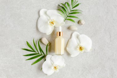 Temel yağ, sebze özü, serum, hyaluronik asit, yüz kremi, gri mermer arka planda tropik palmiye yaprakları. Spa cildi konsepti. Doğal.