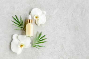 Temel yağ, sebze özü, serum, hyaluronik asit, yüz kremi, gri mermer arka planda tropik palmiye yaprakları. Spa cildi konsepti. Doğal.