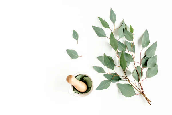 Eucalyptus leaves on white background. Natural Organic cosmetics products. Flat lay, top view. — Stock Photo, Image