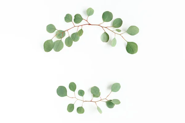녹색 가지들, 유칼립투스 잎들은 흰 배경에 고립되어 있습니다. 평평 한 평면도, 최소한의 원근법. — 스톡 사진