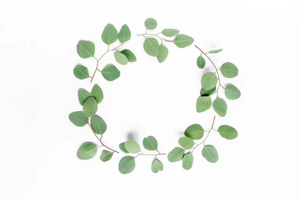 Wreath frame made of branches eucalyptus isolated on white background. lay flat, top — Stock Photo, Image