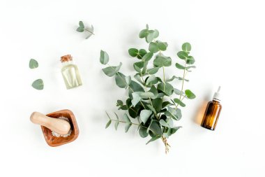 Bir şişe okaliptüs esaslı yağ, beyaz arka planda okaliptüs yaprakları. Doğal organik kozmetik ürünleri. Düz yatış, üst görünüm.